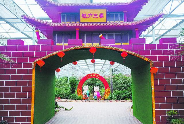 正文          春博园鸟瞰图,温室大棚内反季节