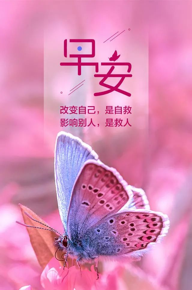 早安心语正能量阳光说说语句唯美早上好图片带字正能量大全