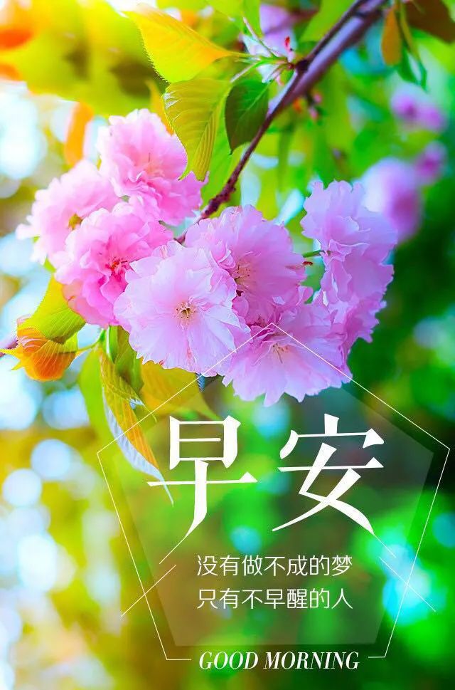 早安心语正能量阳光说说语句唯美早上好图片带字正能量大全