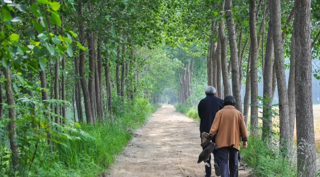退休后一人生活,你会跟儿女住在一起吗?3位老人说了自己的感受休闲区蓝鸢梦想 - Www.slyday.coM 退休后一人生活,你会跟儿女住在一起吗?3位老人说了自己的感受休闲区蓝鸢梦想 - Www.slyday.coM
