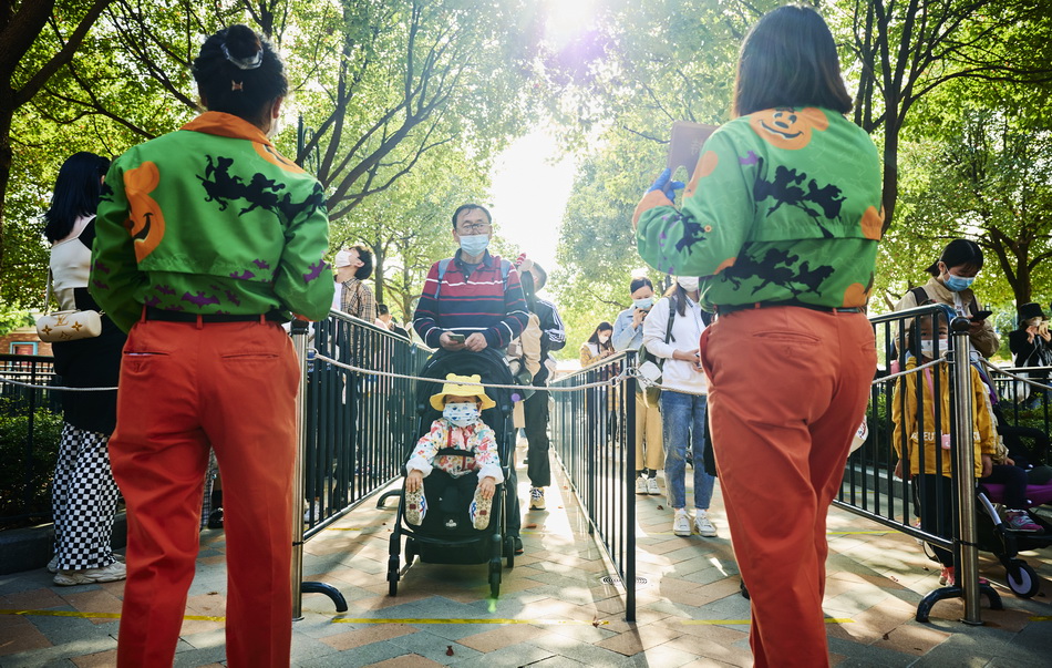 11月3日9时许，上海迪士尼乐园入口，游客推车婴儿车排队等候。