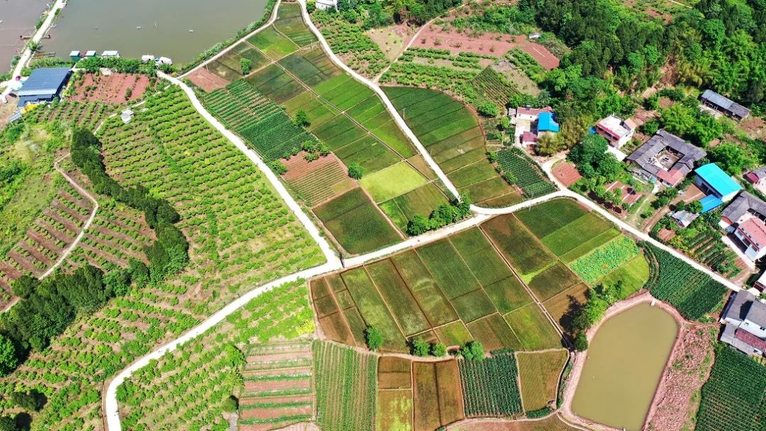 初夏时节,曾经繁花平醯闹﹁馍弦苍缭缇凸疑狭讼侍鹂煽诘闹懈诖嗵