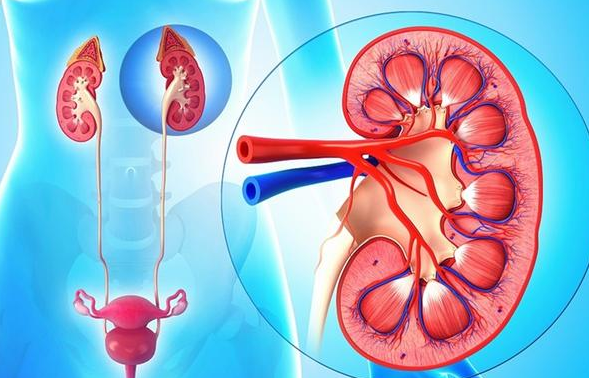 22岁小伙,查出尿毒症,1件事做得太多了休闲区蓝鸢梦想 - Www.slyday.coM 22岁小伙,查出尿毒症,1件事做得太多了休闲区蓝鸢梦想 - Www.slyday.coM
