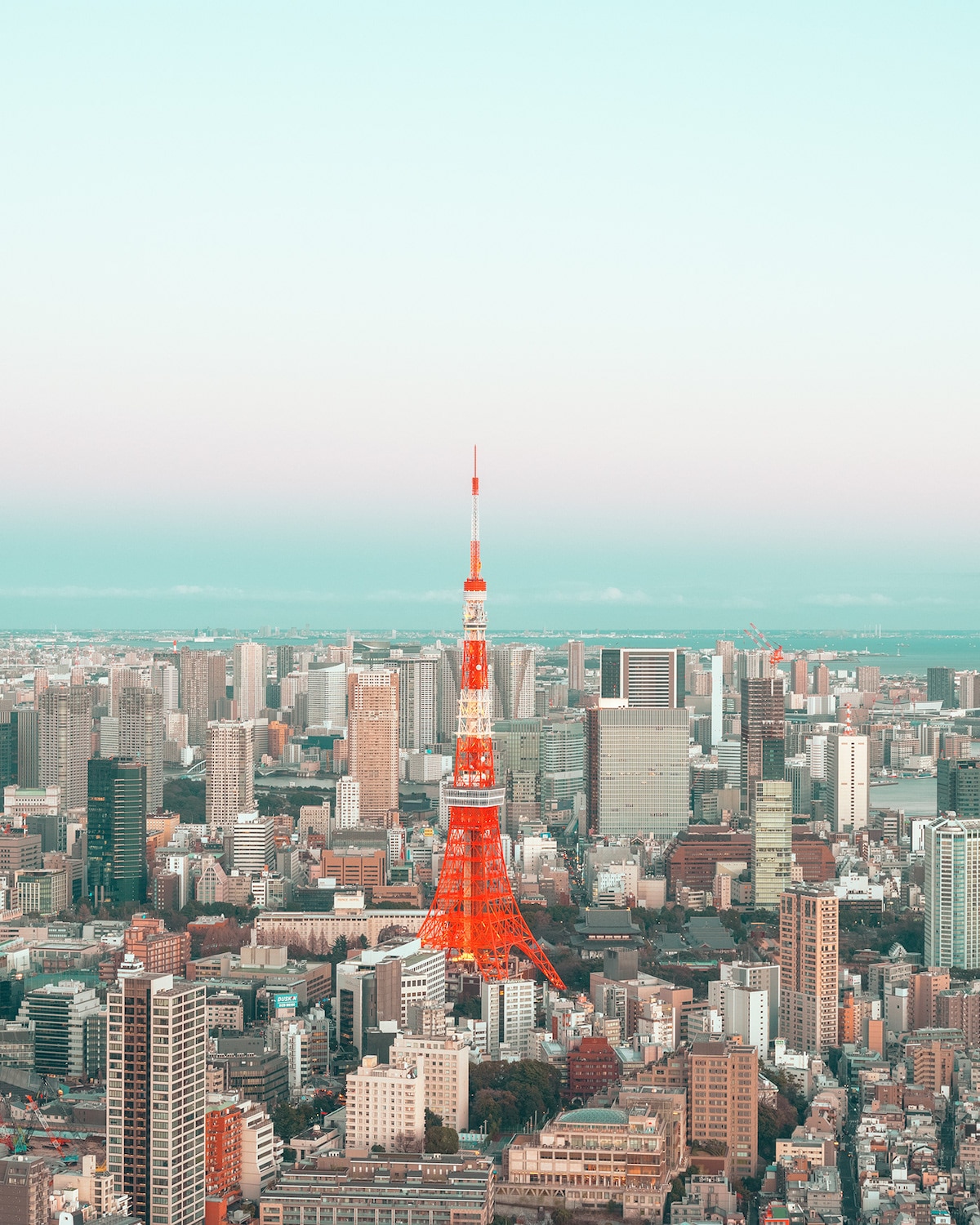 日本东京 一个充满活力色彩的城市|日本东京|活力|法夫尔_新浪新闻