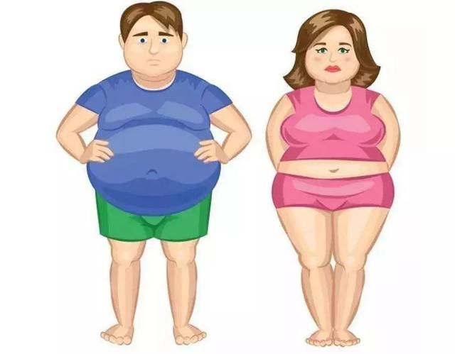 都说中年易发福,其实发福的迹象30岁就开始,中年后如何保持身材