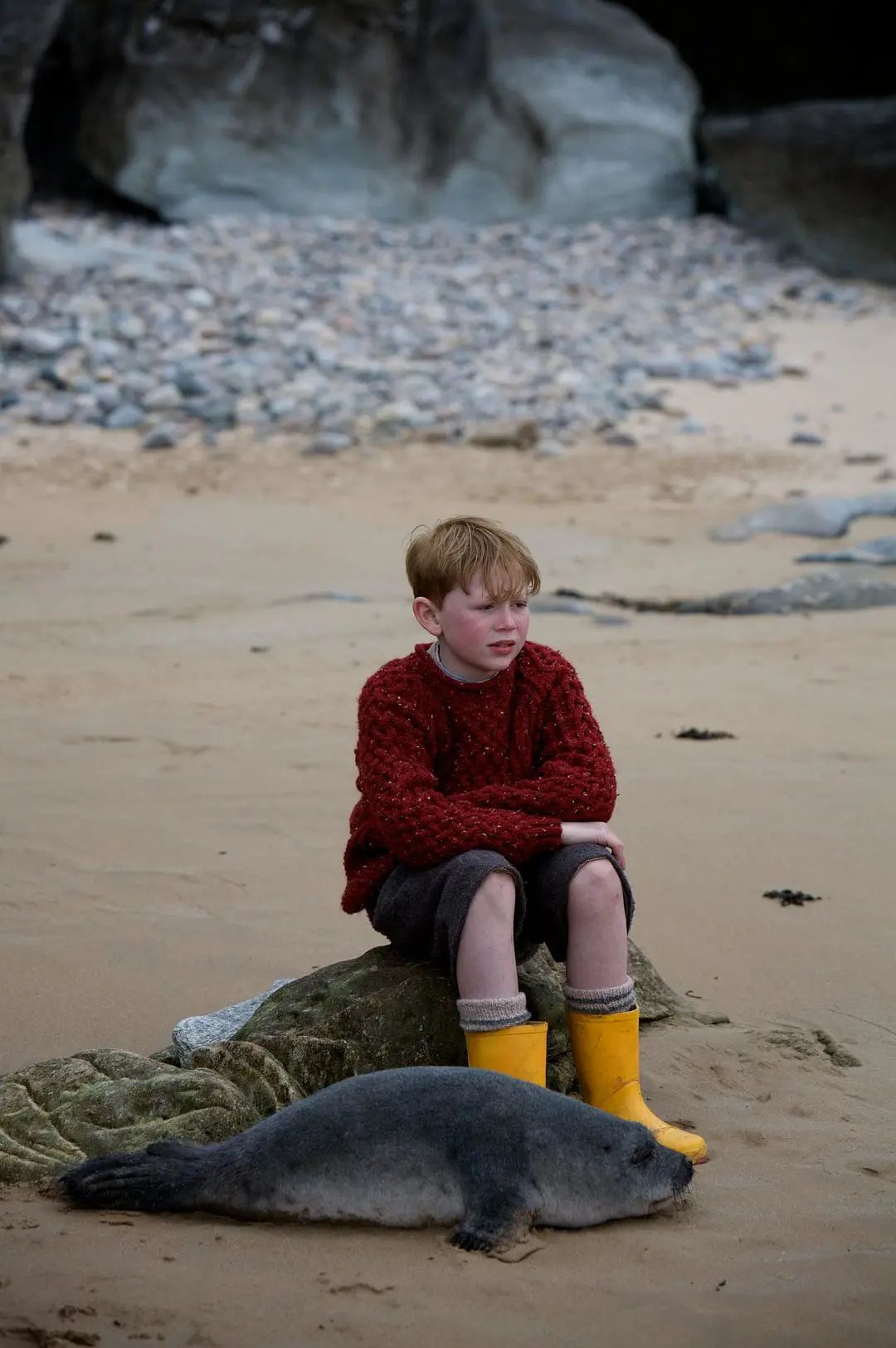 彩虹照耀不输海蒂和爷爷的冷门佳作治愈又养眼