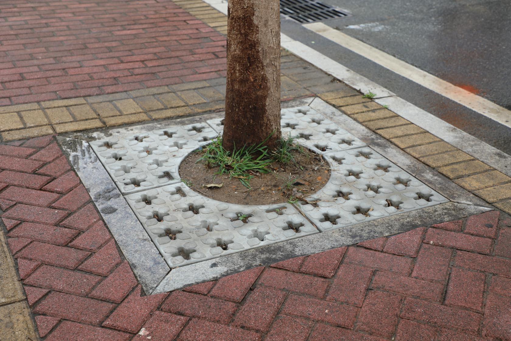 树池是种植树木的人工构筑物,是城市道路,广场树木生长所需的基本空间