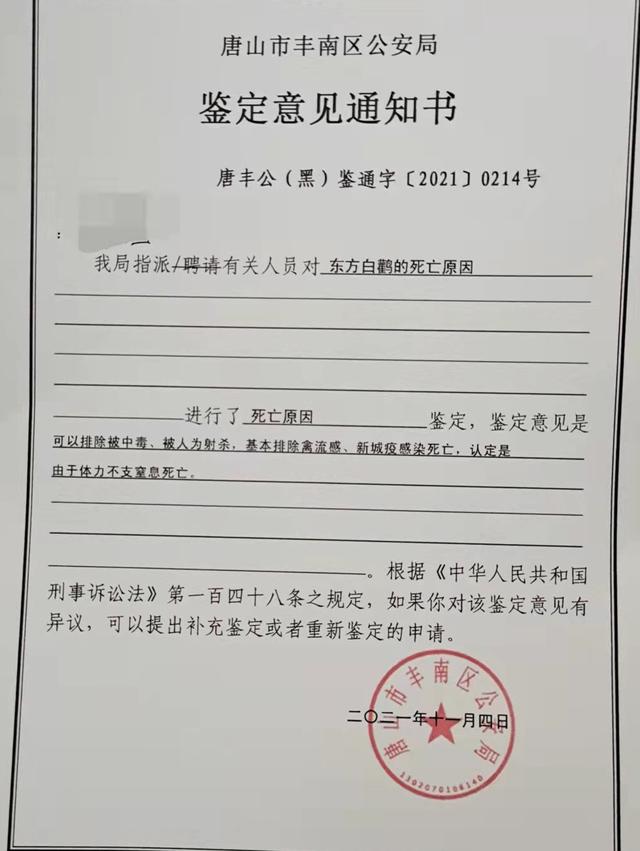 死亡的东方白鹳《鉴定意见通知书》 图片来源:网络