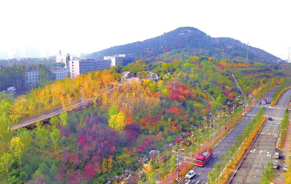 济南茂岭秋色映山河色彩斑斓美不胜收