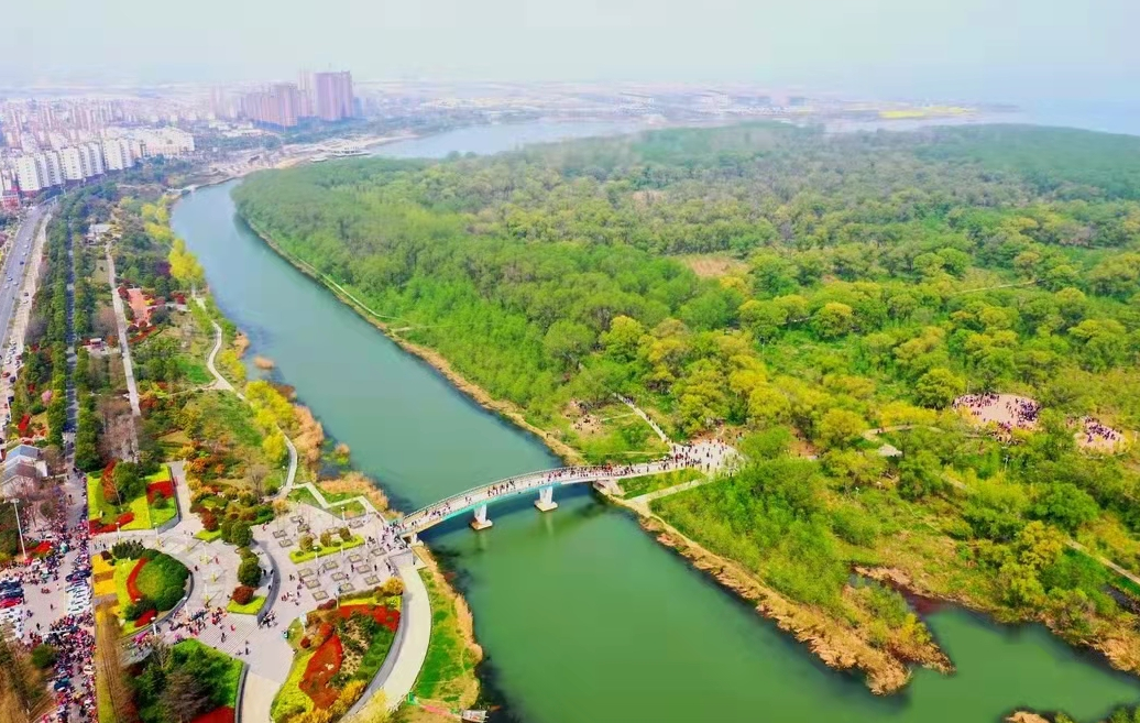 金湖县旅游管理发展中心荣获省文旅系统先进集体