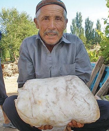 太岁究竟是什么东西一男子在上海捡到3公斤太岁有人450万求购