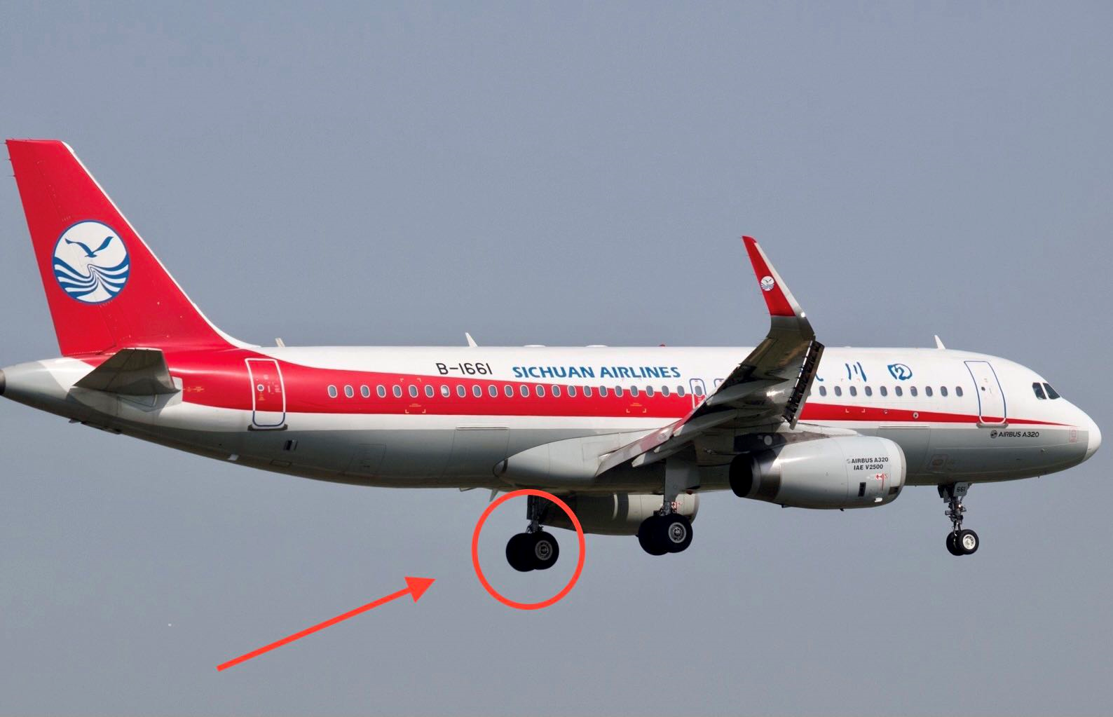 13岁少年手抓飞机起落架,万米高空从昆明飞到重庆,后来怎样了?休闲区蓝鸢梦想 - Www.slyday.coM 13岁少年手抓飞机起落架,万米高空从昆明飞到重庆,后来怎样了?休闲区蓝鸢梦想 - Www.slyday.coM