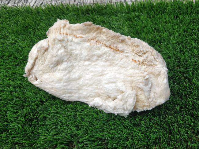 太岁究竟是什么东西一男子在上海捡到3公斤太岁有人450万求购