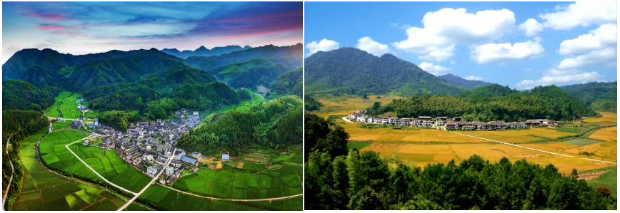 明溪夏阳乡:打造区域品牌,强化特色振兴|农产品|夏阳|乡村_新浪新闻