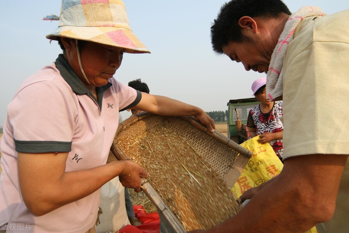 交公粮那辈农民为国家做了贡献该发养老金吗为啥有人反对