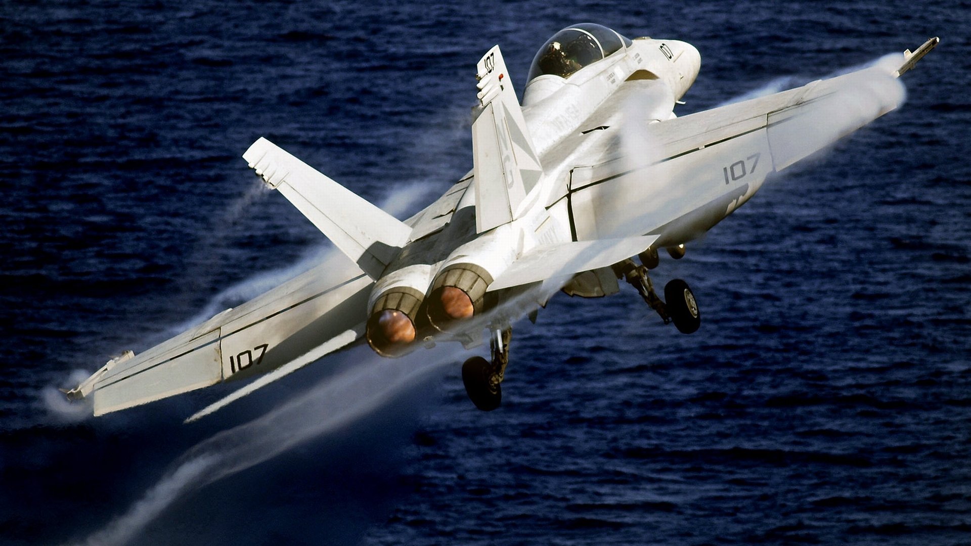 它是美军第一架同时拥有战斗机与攻击机身份的机种