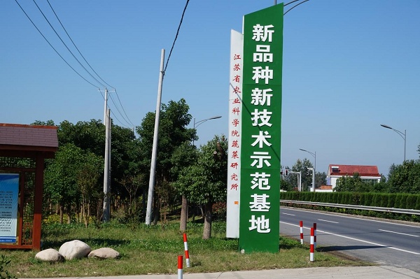 盐城建湖宝塔镇坚持生态立镇绿色发展