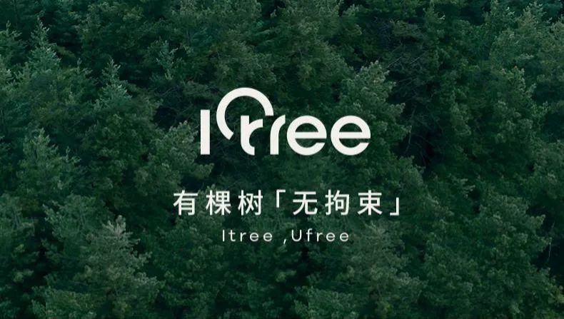 有自由,无拘束,有棵树这波品牌升级很"舒服"!__财经头条