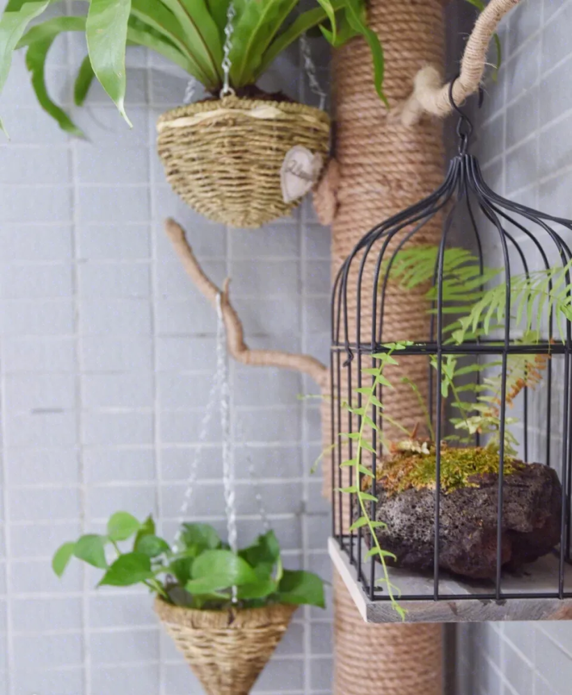 入住新家才发现,家里这些地方不要多花钱,“穷装”才合适!休闲区蓝鸢梦想 - Www.slyday.coM 入住新家才发现,家里这些地方不要多花钱,“穷装”才合适!休闲区蓝鸢梦想 - Www.slyday.coM