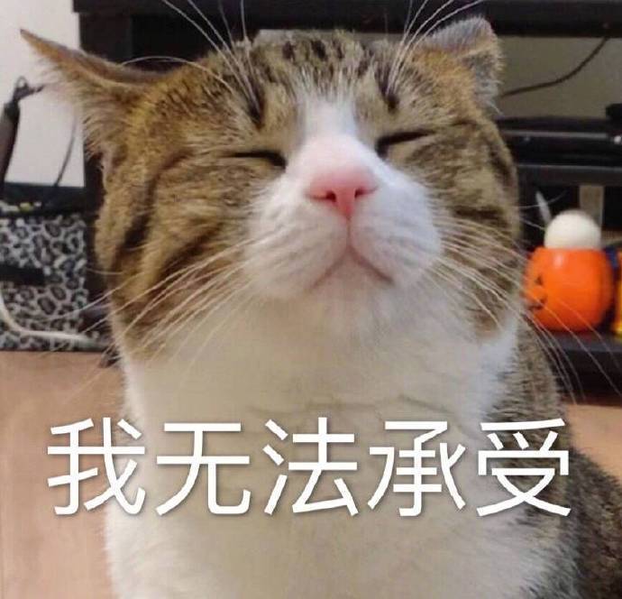 表情包 | 我无法承受|表情包_新浪新闻
