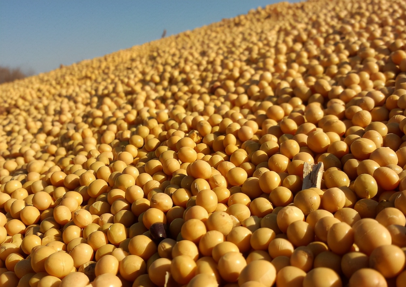 中国多个黑科技横空出世,傲世全球,美国农民急了:大豆卖谁?