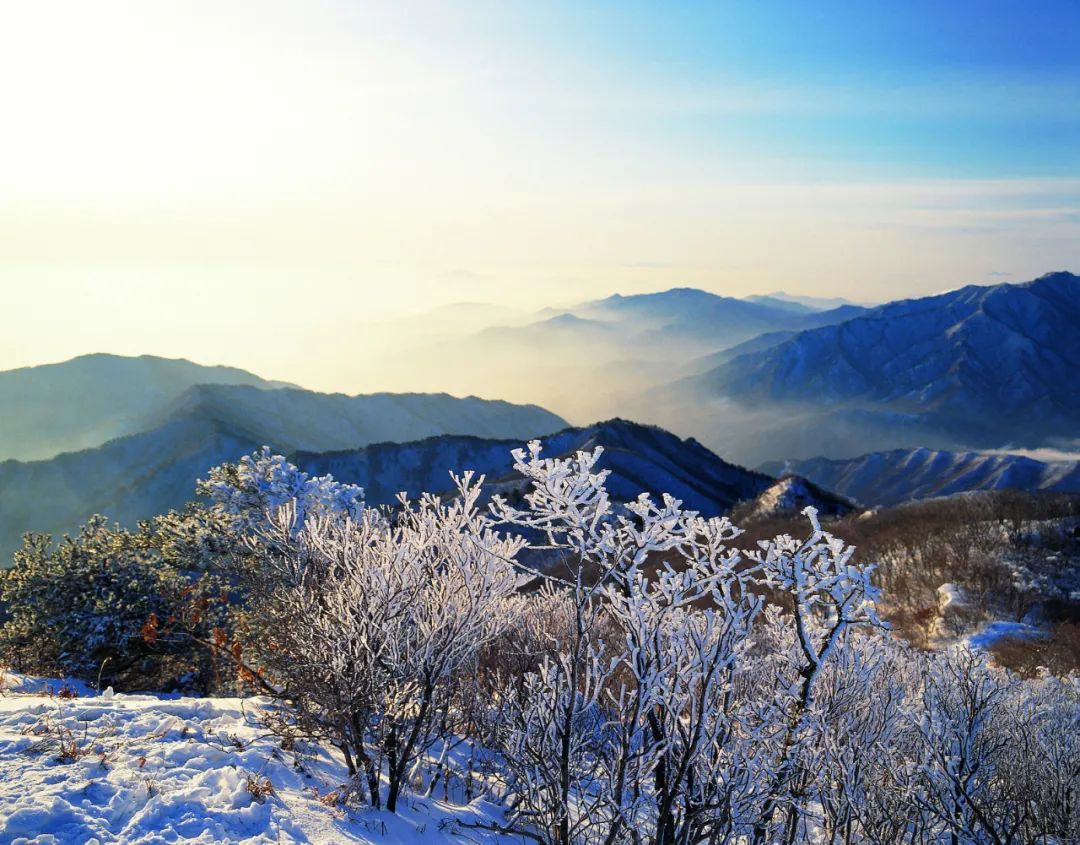 10首最美立冬诗,带你一览初冬美景|立冬日作|立冬夜舟中作|立冬即事二