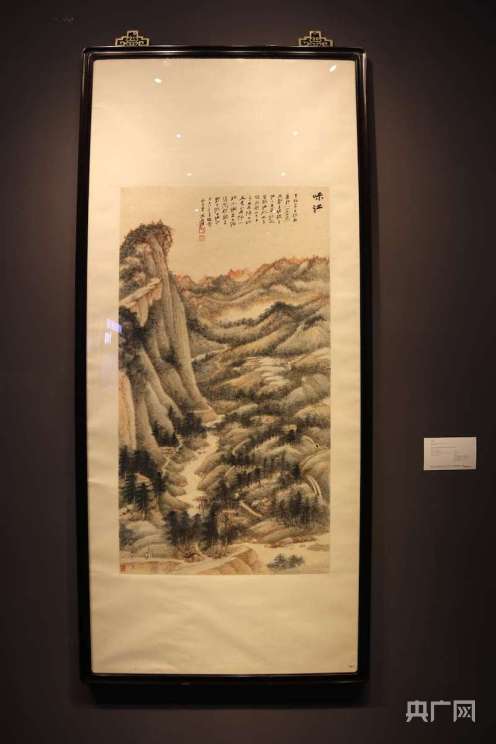 上海医疗企业有哪些进博时间｜总台央广网记者兵分六路，带你打卡进博超级“秀场”_https://www.jmylbn.com_新闻资讯_第4张