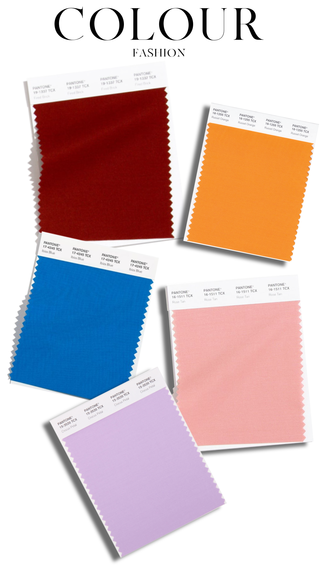 别再穿一身黑了秋冬杏仁奶油紫才是真洋气