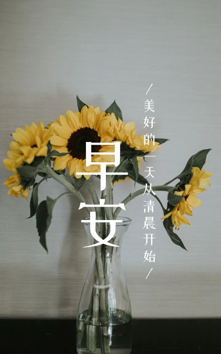 今日早安图片心语正能量__财经头条