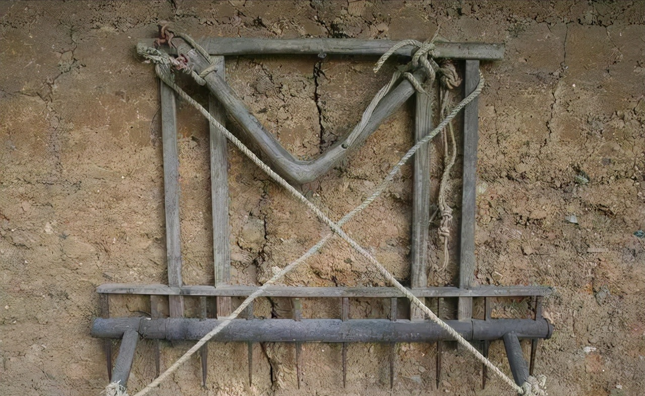 牛耕田里,把牛肩索套在牛肩膀上,一边一根绳子,与犁,耙连在一起,人在