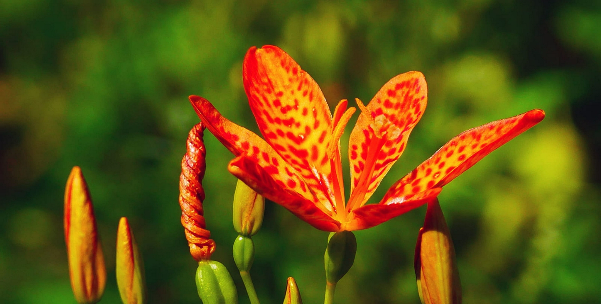 一马当先 一马当先最新消息 新闻 图片 视频 聚合阅读 新浪网