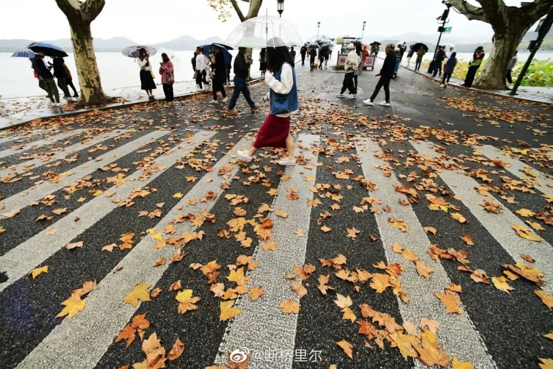 杭城3小时狂跌近10度！浙江连发121条预警！今晚这件事必须做休闲区蓝鸢梦想 - Www.slyday.coM