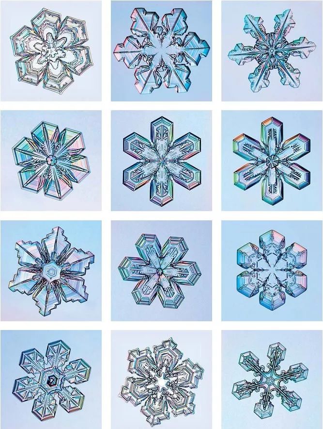 雪花图鉴须知世界上没有两片完全一样的雪花