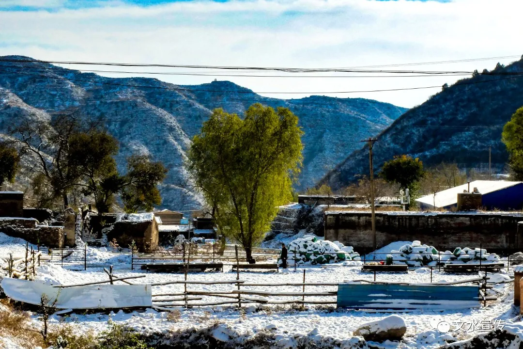 文水县摄影家协会开展初冬子夏山创作采风活动