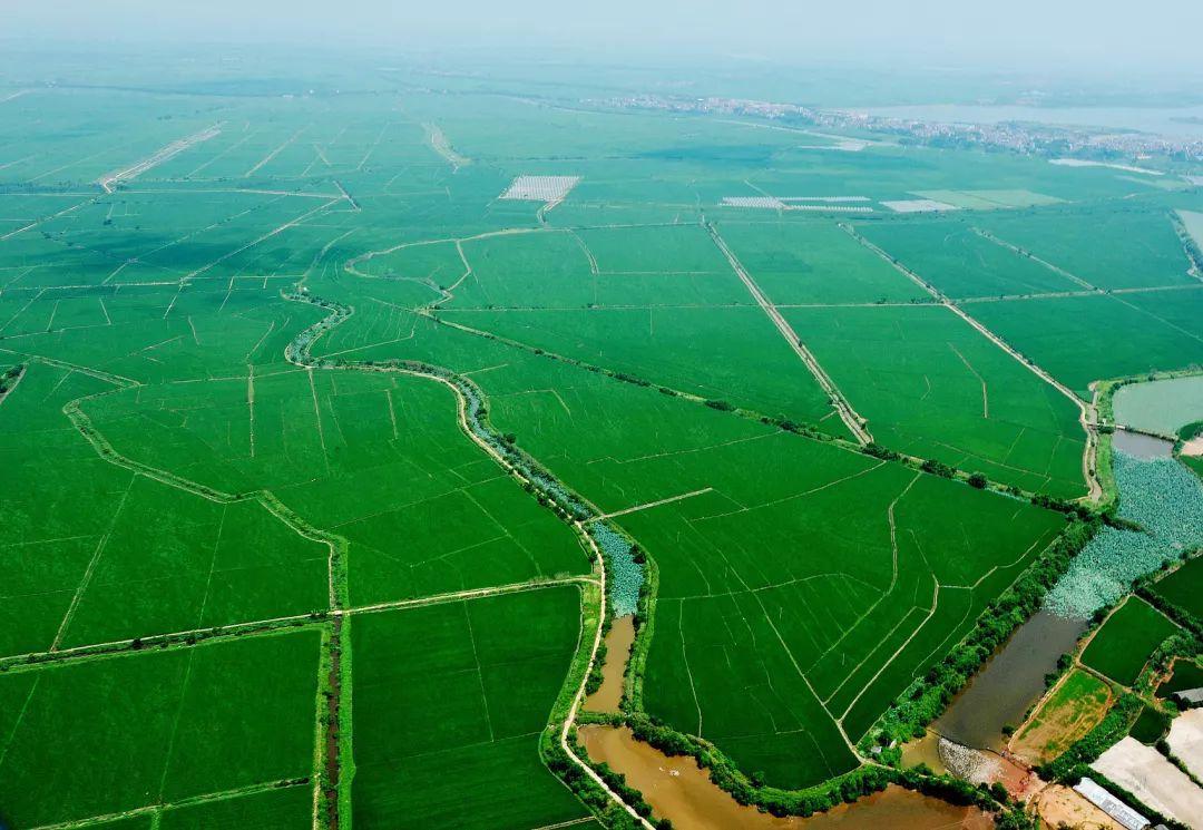 如果海平面上升70米,我国哪些一线省市将会被"淹没"?|全球变暖|海平面