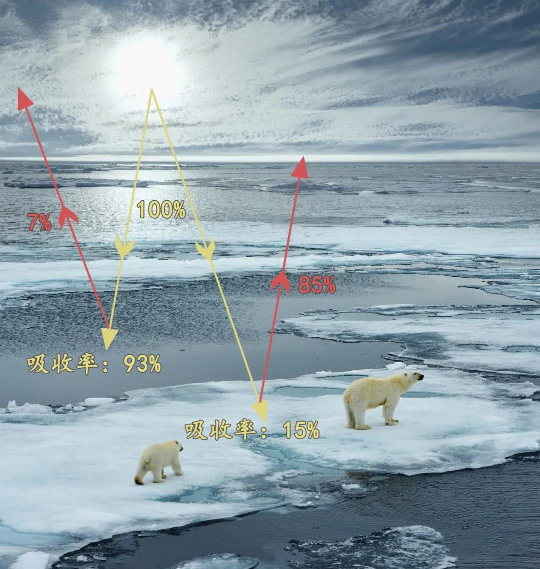 冰河期的预警来了?寒流速冻全国!科学家提醒:地球仍处在大冰期|北极|寒流|大西洋_新浪新闻