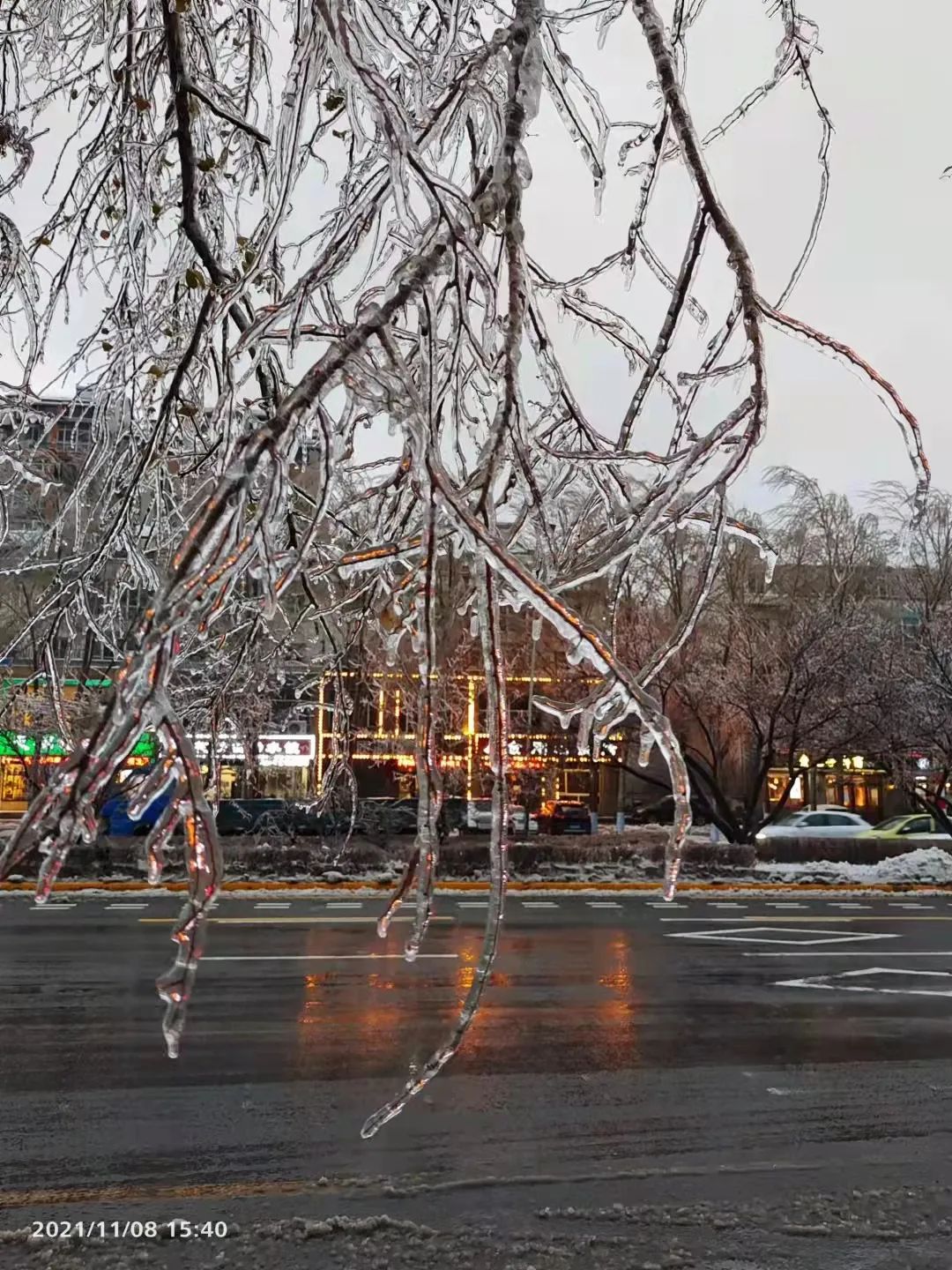 迎战风雪直击现场冻雨给冰城挂浆树木折断多发道路结冰升级橙色预警