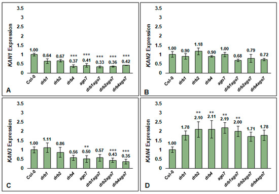 博士举报导师抄袭自己的研究成果，导师反驳自己拥有使用权，学校：你撤稿吧休闲区蓝鸢梦想 - Www.slyday.coM