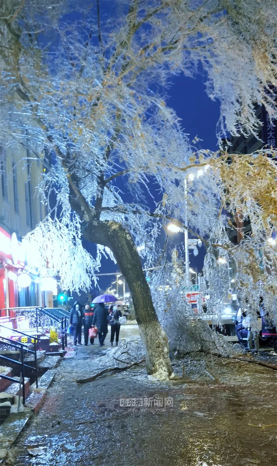 迎战风雪直击现场冻雨给冰城挂浆树木折断多发道路结冰升级橙色预警