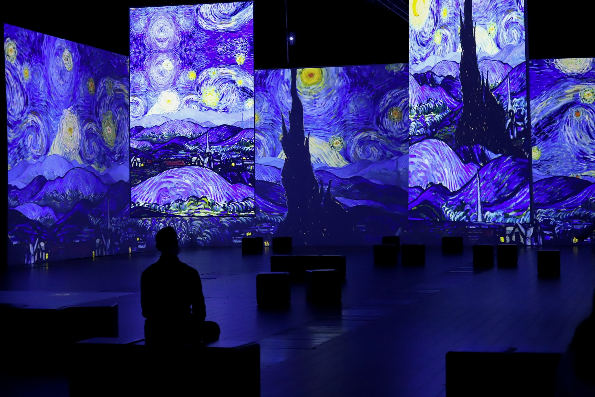 梵高沉浸式画展亮相华沙