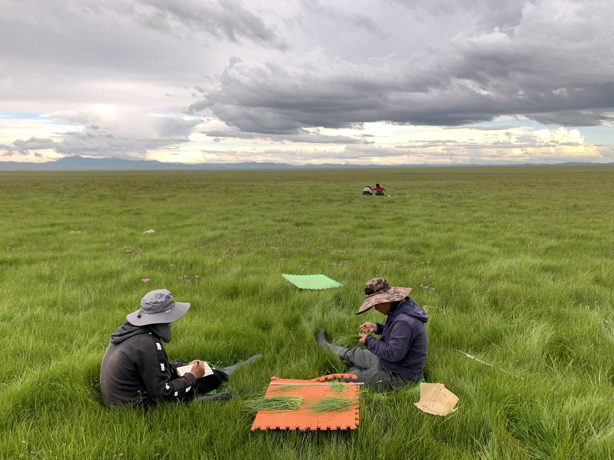 野外考察.受访者供图