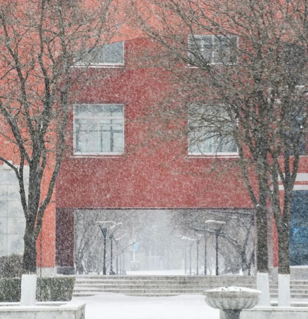东师初雪 | 久等了,每一帧都是惊艳