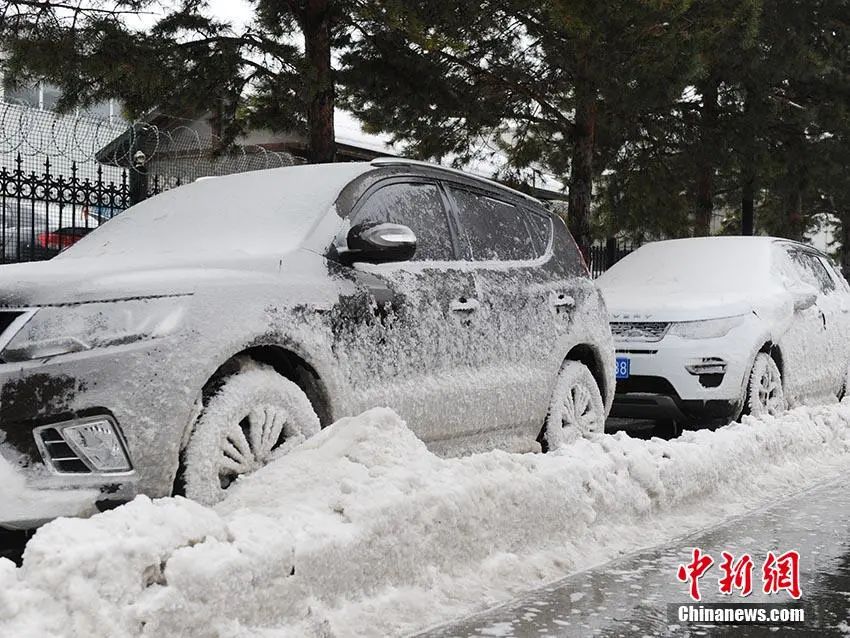 路边的车辆被积雪覆盖。张瑶 摄