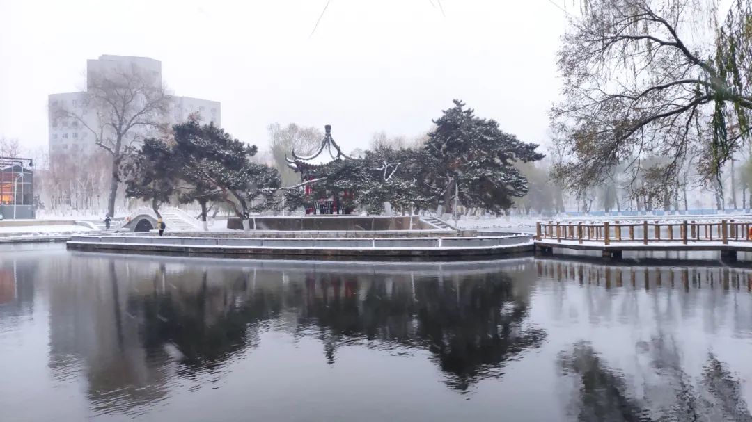 东师初雪 | 久等了,每一帧都是惊艳