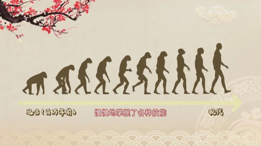 也就成了现在的人类逐渐开始直立行走逐渐掌握各种技能后来经过几百万