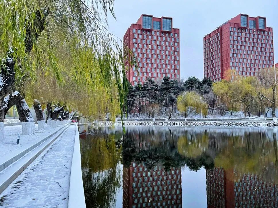 东师初雪 | 久等了,每一帧都是惊艳