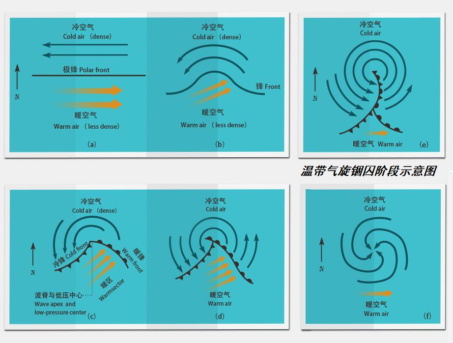 等压线图上可以看到,渤海上空一个中心气压只有1005百帕的温带气旋,这