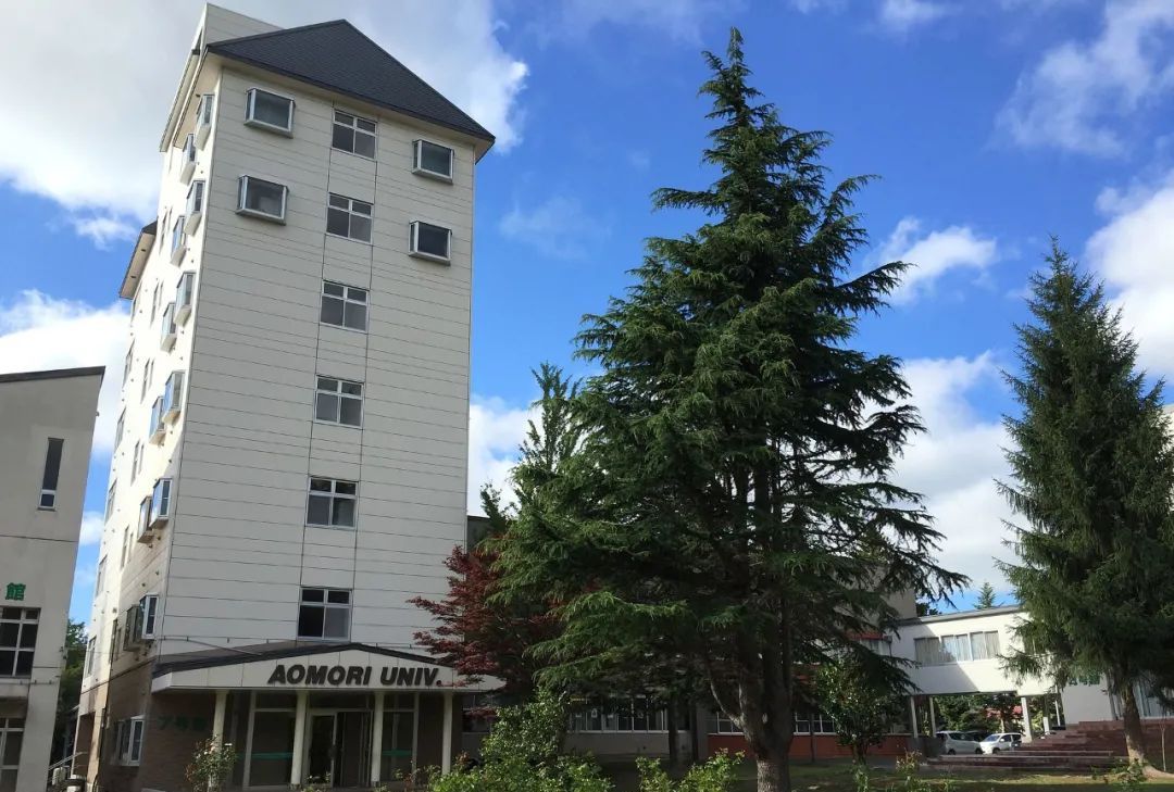 青森|福原爱|大学_新浪新闻