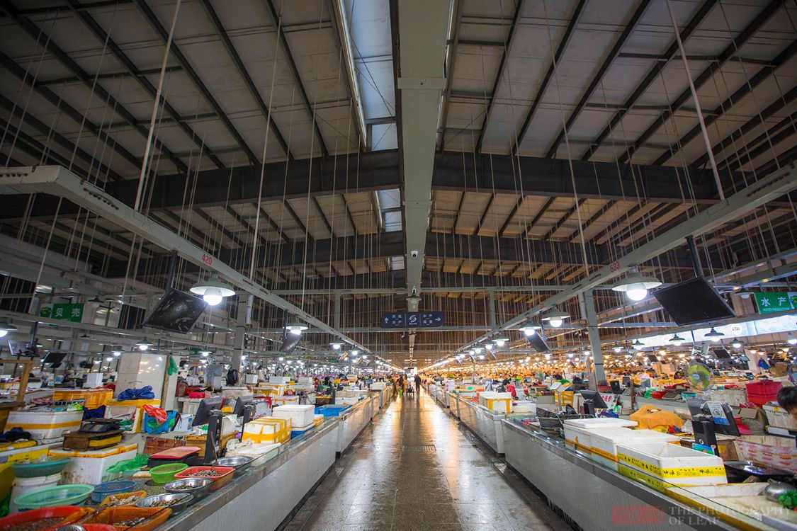 浙江象山渔民迎来大丰收市场海鲜价格却不便宜梭子蟹130一斤