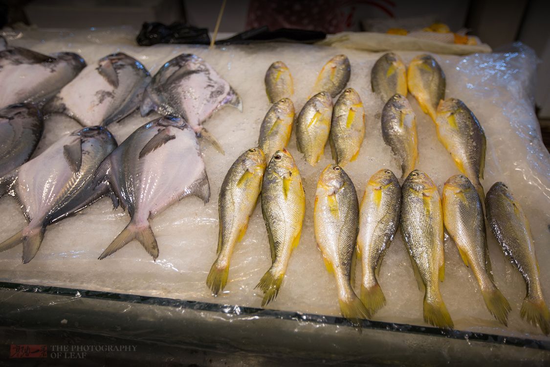 浙江象山渔民迎来大丰收市场海鲜价格却不便宜梭子蟹130一斤